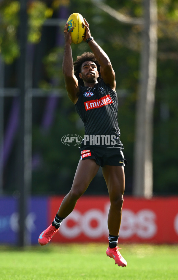 AFL 2025 Training - Collingwood 030325 - A-57648471