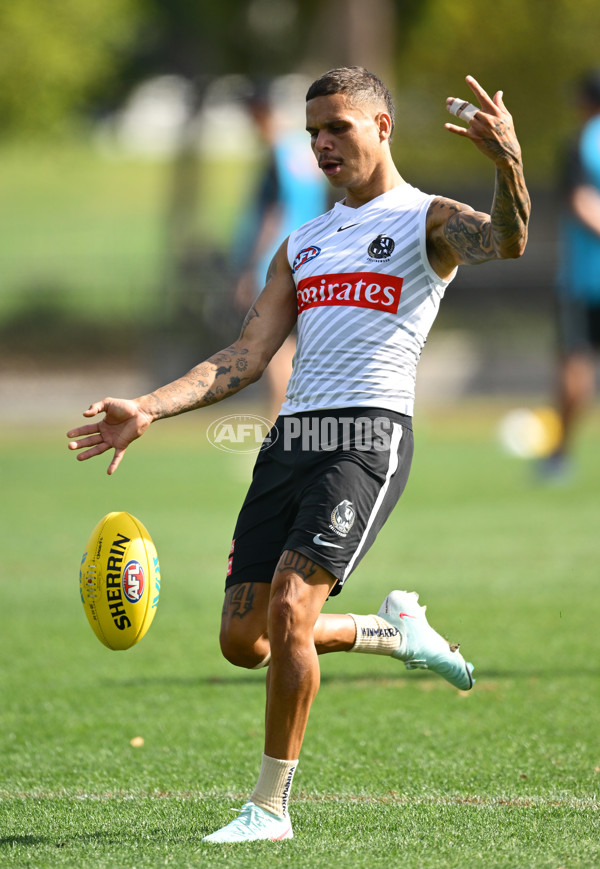 AFL 2025 Training - Collingwood 030325 - A-57648472