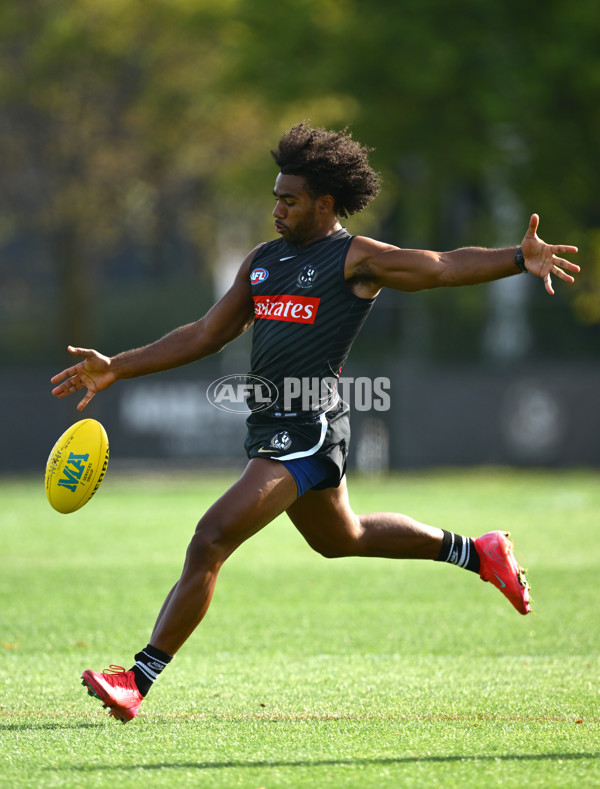 AFL 2025 Training - Collingwood 030325 - A-57649127