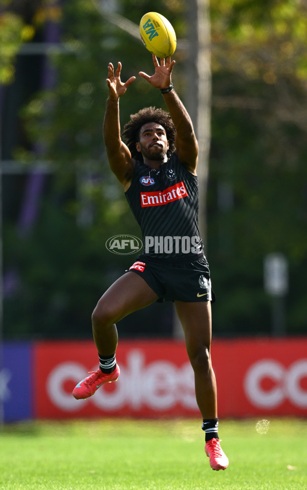 AFL 2025 Training - Collingwood 030325 - A-57649167