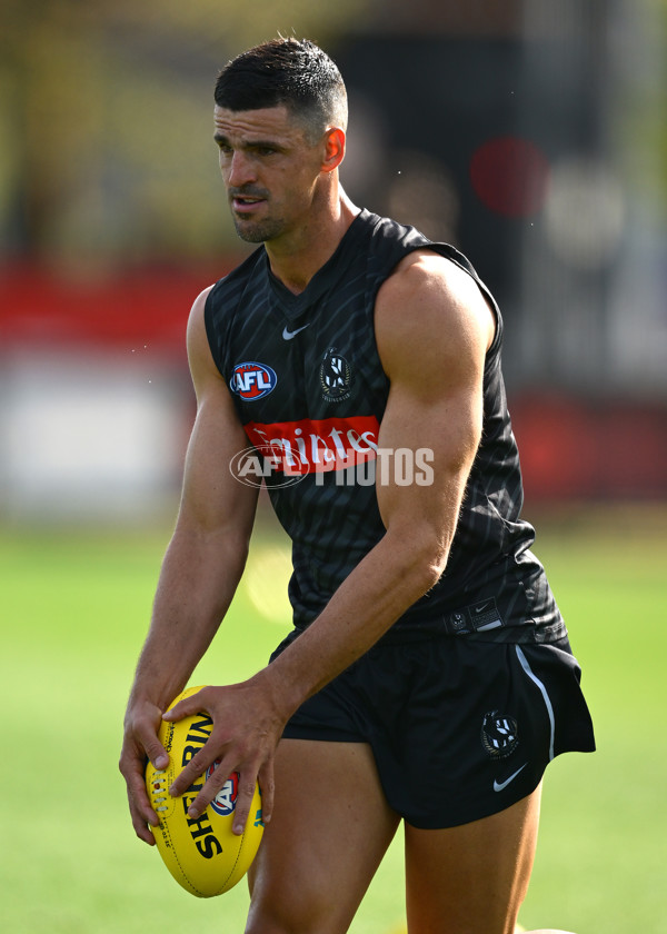 AFL 2025 Training - Collingwood 030325 - A-57654311