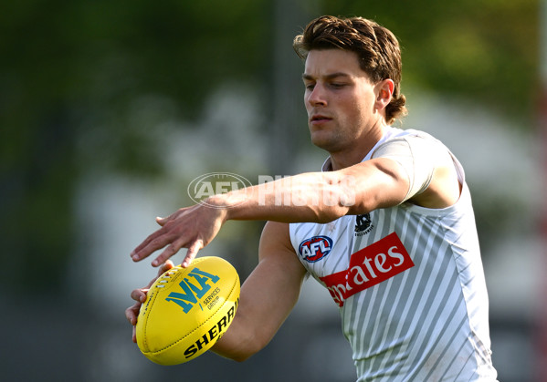 AFL 2025 Training - Collingwood 030325 - A-57654313