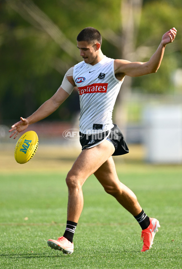 AFL 2025 Training - Collingwood 030325 - A-57656919