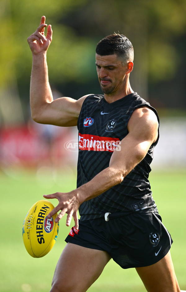 AFL 2025 Training - Collingwood 030325 - A-57656942