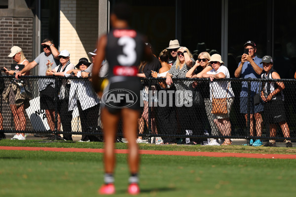 AFL 2025 Training - Collingwood 050325 - A-57665626