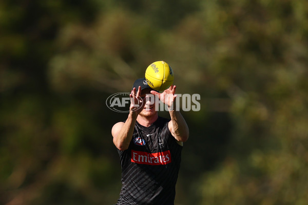 AFL 2025 Training - Collingwood 050325 - A-57665632
