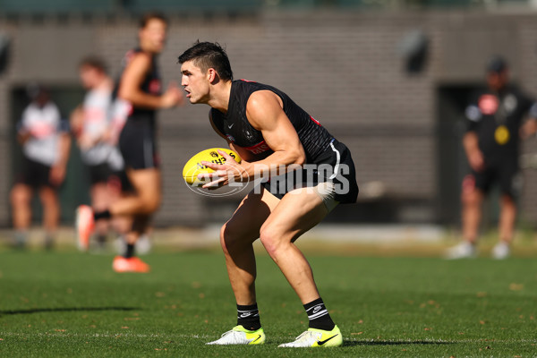 AFL 2025 Training - Collingwood 050325 - A-57666017
