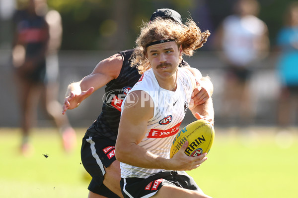 AFL 2025 Training - Collingwood 050325 - A-57668394