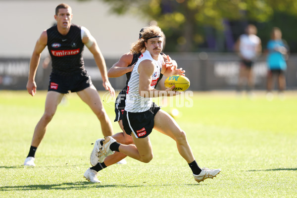 AFL 2025 Training - Collingwood 050325 - A-57668395