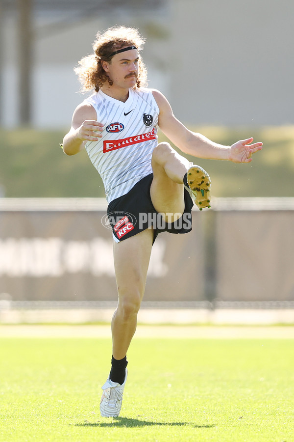 AFL 2025 Training - Collingwood 050325 - A-57671101