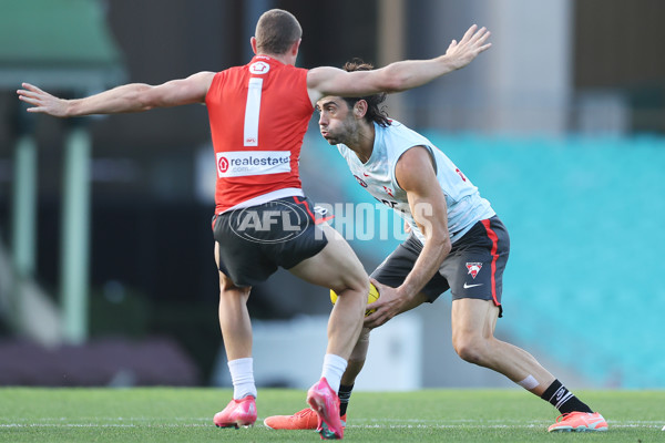 AFL 2025 Training - Sydney 050325 - A-57671777