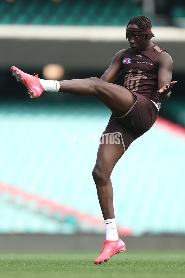 AFL 2025 Training - Hawthorn 060325 - A-57674268