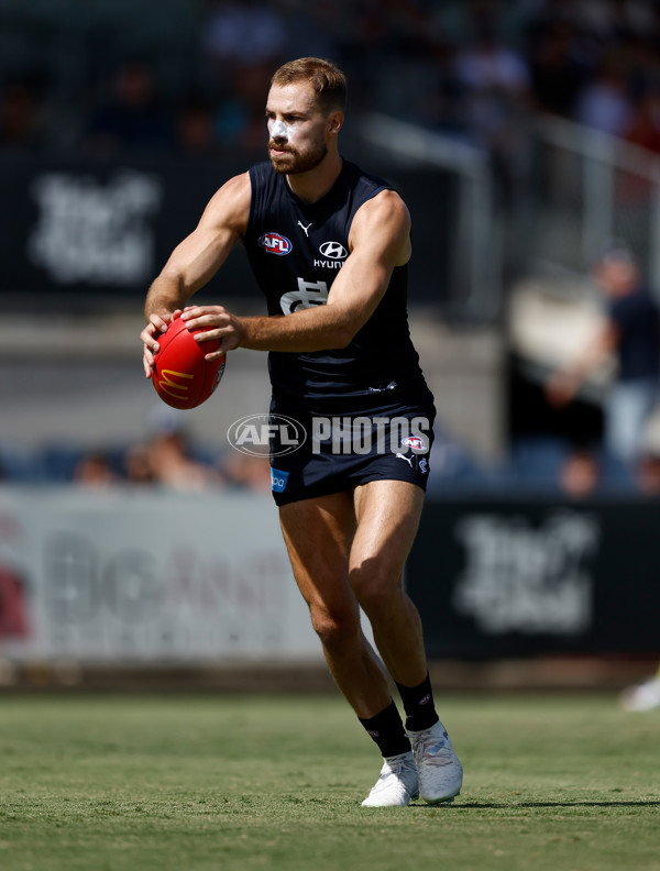 AFL 2025 Match Simulation - Carlton v St Kilda - A-57674577