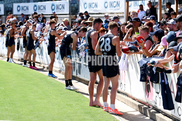 AFL 2025 Training - Carlton 090325 - A-57715903