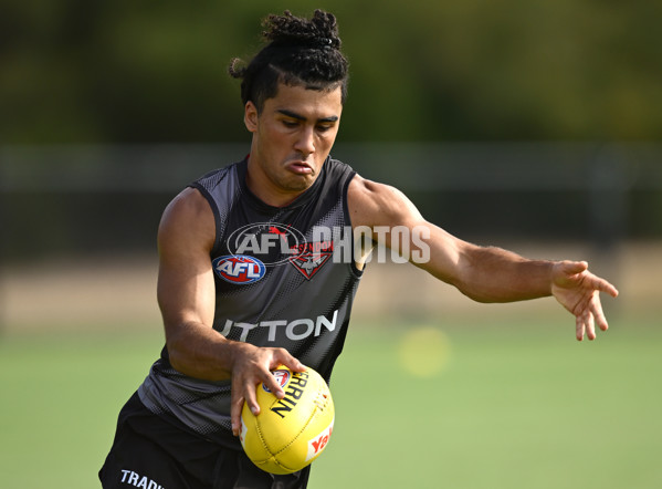 AFL 2025 Training - Essendon 110325 - A-57715927