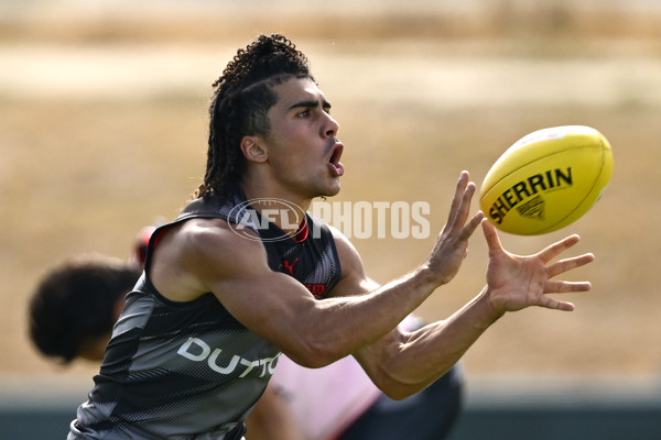 AFL 2025 Training - Essendon 110325 - A-57718167