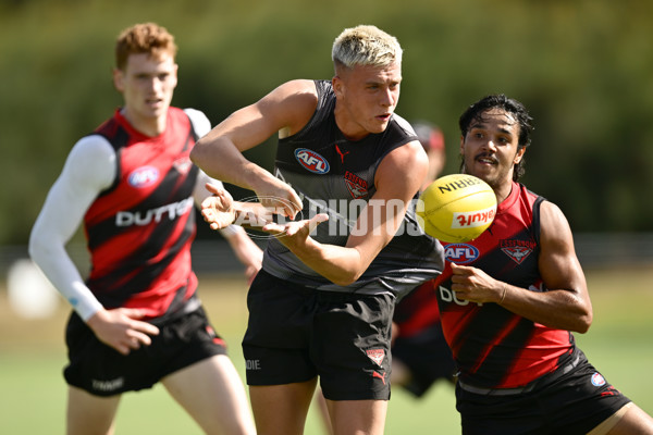 AFL 2025 Training - Essendon 110325 - A-57718176