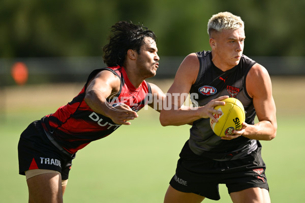 AFL 2025 Training - Essendon 110325 - A-57718206