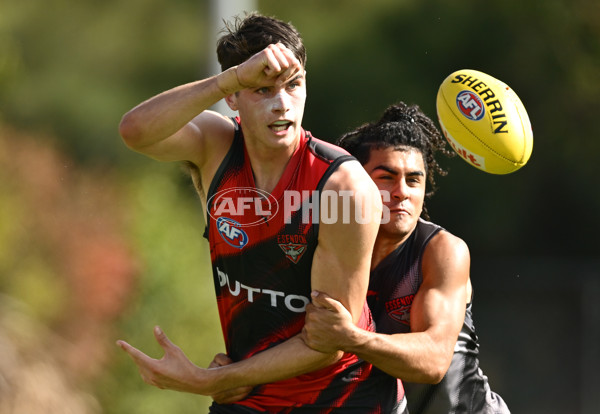 AFL 2025 Training - Essendon 110325 - A-57718213