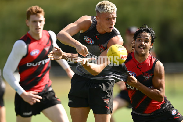 AFL 2025 Training - Essendon 110325 - A-57718217