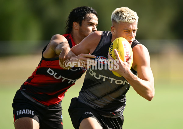 AFL 2025 Training - Essendon 110325 - A-57718888