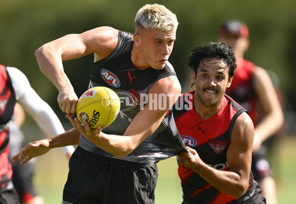AFL 2025 Training - Essendon 110325 - A-57718894
