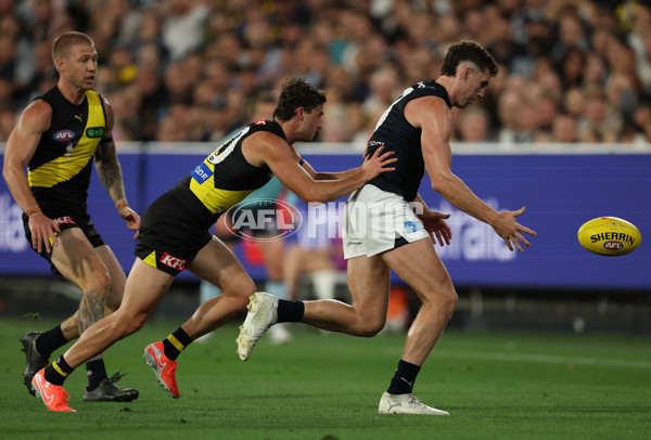 AFL 2025 Round 01 - Richmond v Carlton - A-57764940