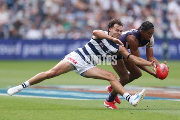 AFL 2025 Round 01 - Geelong v Fremantle - A-57788609