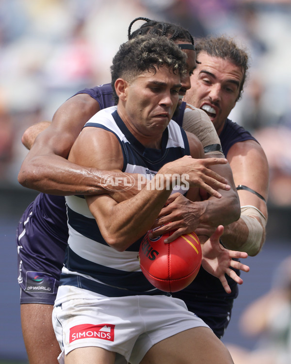 AFL 2025 Round 01 - Geelong v Fremantle - A-57789792