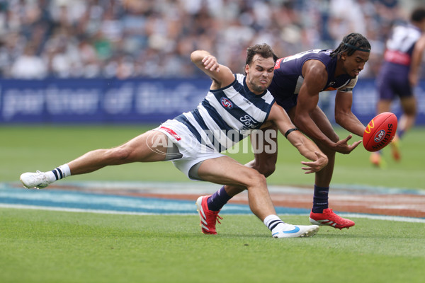 AFL 2025 Round 01 - Geelong v Fremantle - A-57789814