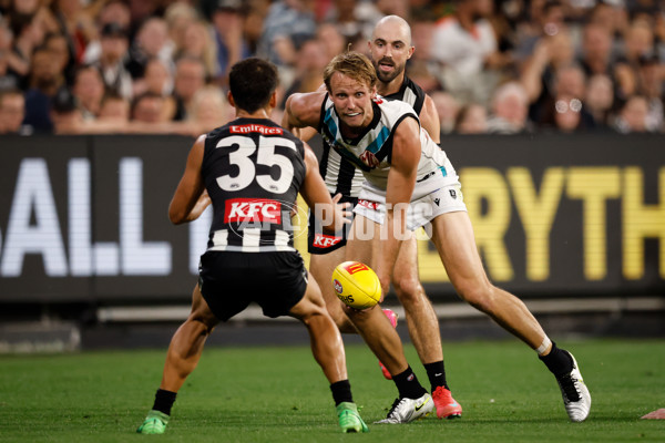 AFL 2025 Round 01 - Collingwood v Port Adelaide - A-57811915