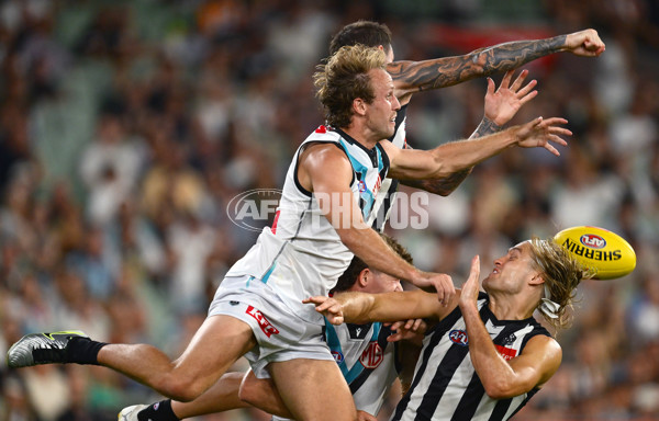 AFL 2025 Round 01 - Collingwood v Port Adelaide - A-57813987