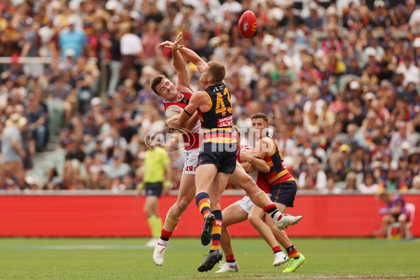 AFL 2025 Round 01 - Adelaide v St Kilda - A-57826664