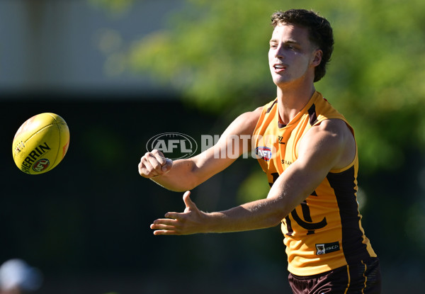 AFL 2025 Training - Hawthorn 180325 - A-57857899