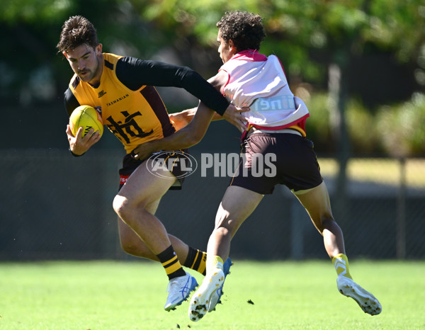 AFL 2025 Training - Hawthorn 180325 - A-57857906
