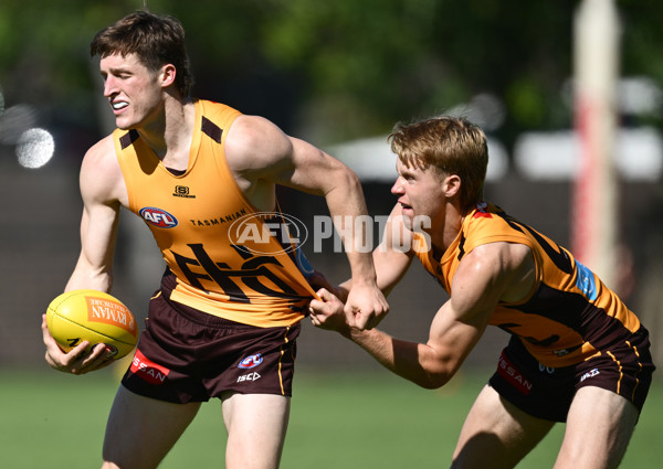 AFL 2025 Training - Hawthorn 180325 - A-57857908