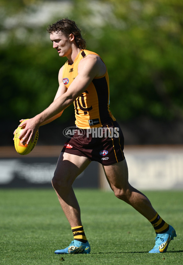 AFL 2025 Training - Hawthorn 180325 - A-57857909
