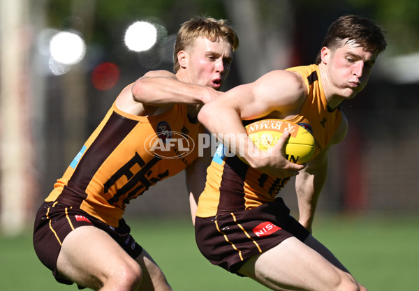 AFL 2025 Training - Hawthorn 180325 - A-57857912