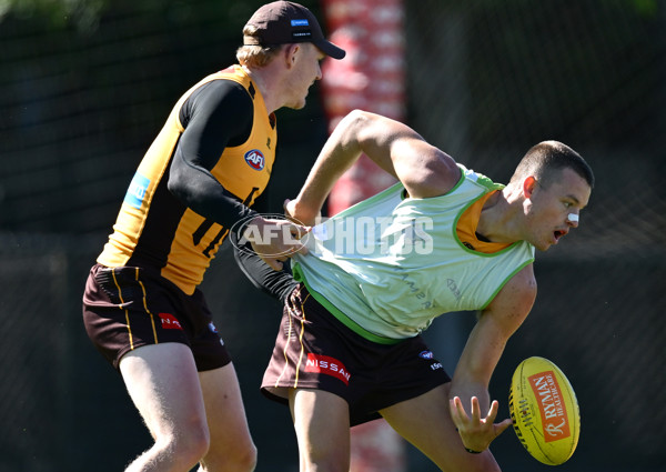 AFL 2025 Training - Hawthorn 180325 - A-57857946