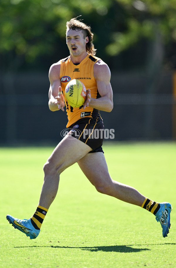 AFL 2025 Training - Hawthorn 180325 - A-57857947