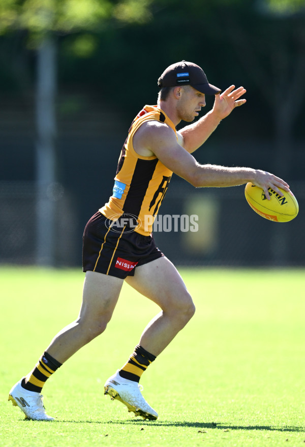 AFL 2025 Training - Hawthorn 180325 - A-57857948
