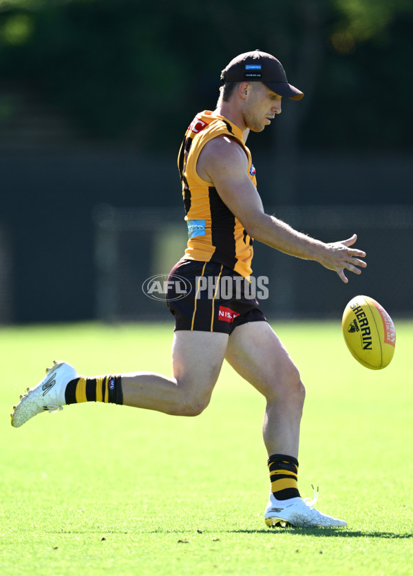 AFL 2025 Training - Hawthorn 180325 - A-57875703