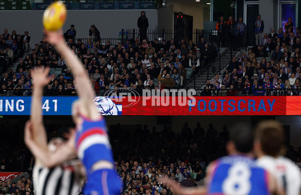 AFL 2025 Round 02 - Footscray v Collingwood - A-57985931