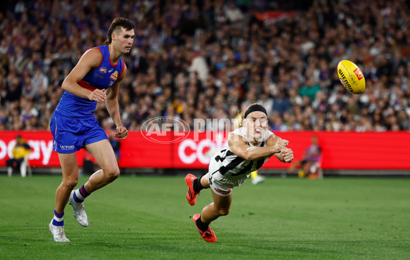 AFL 2025 Round 02 - Footscray v Collingwood - A-57985950