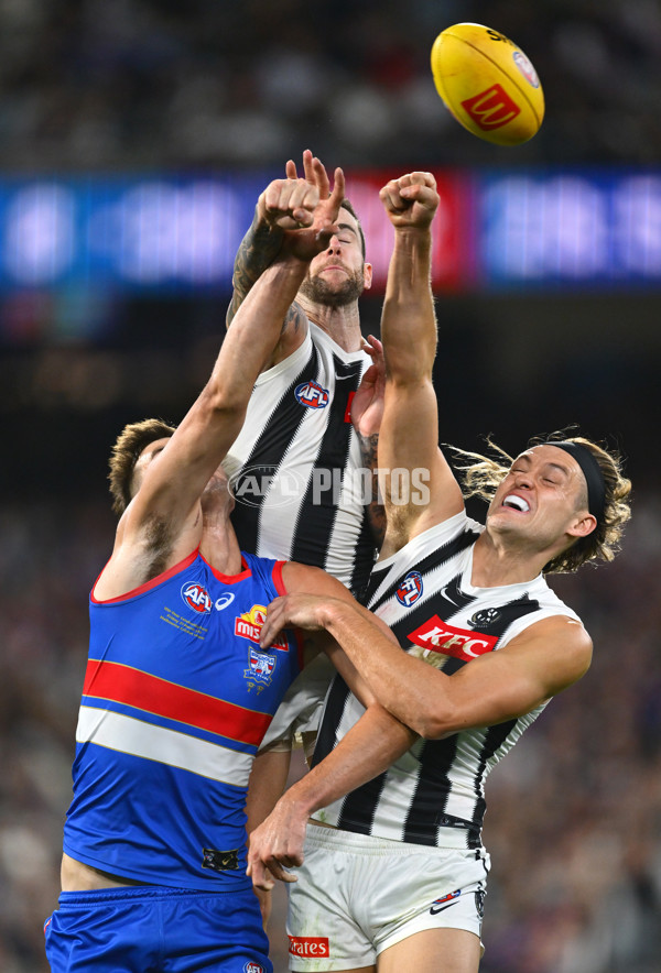 AFL 2025 Round 02 - Footscray v Collingwood - A-57985963
