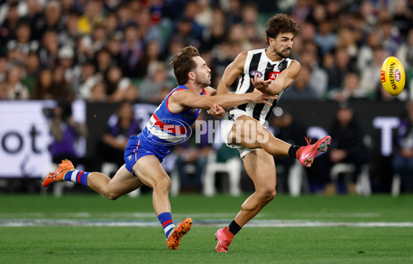 AFL 2025 Round 02 - Footscray v Collingwood - A-57987742