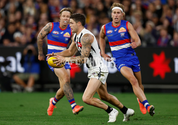 AFL 2025 Round 02 - Footscray v Collingwood - A-57993726