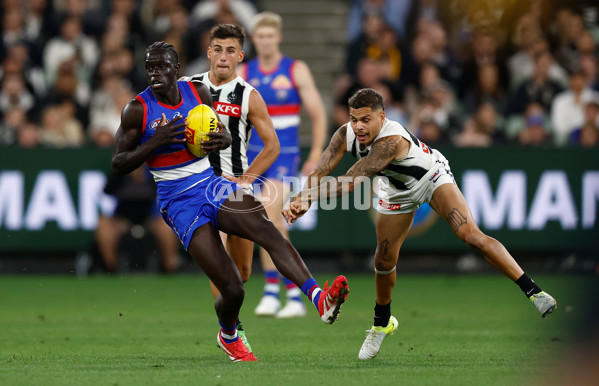 AFL 2025 Round 02 - Footscray v Collingwood - A-57994519
