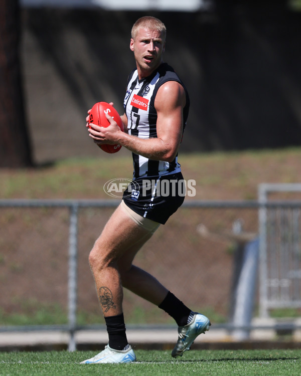 VFL 2025 Round 01 - Collingwood v Sydney - A-57999013