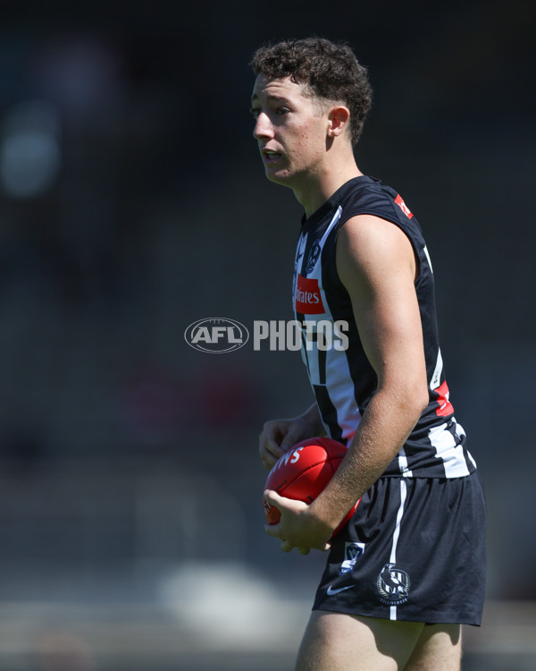 VFL 2025 Round 01 - Collingwood v Sydney - A-57999015